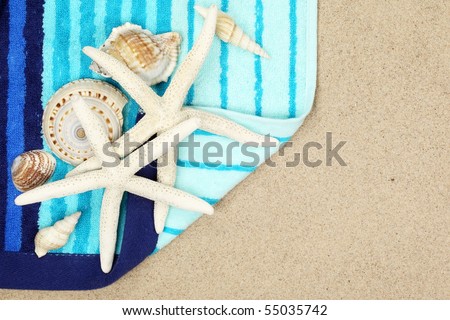 Seashells and striped beach towel on sand beach,Closeup.