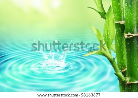 Fresh bamboo with water ripple