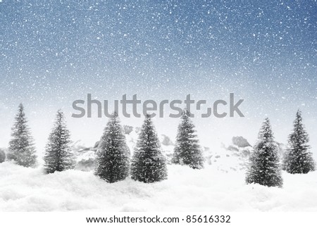 Fir trees with snowfall