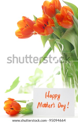 Fresh tulip with gift card, Happy mother\'s day.