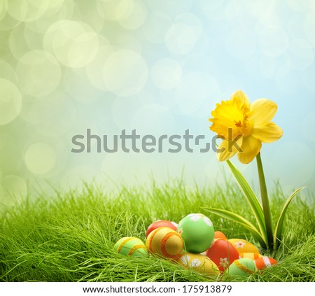 Easter Eggs On Green Grass With Daffodil Flower
