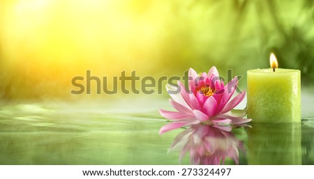 Burning candle and water lily in water.