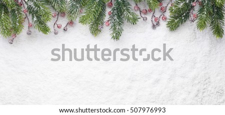 Christmas fir twig with red berries on snow