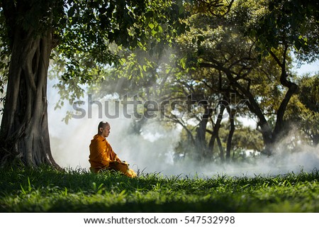 Buddhist monk meditating under a tree at Ayutthaya,buddhist temple  in Thailand