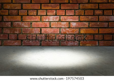 Brick walls and cement floor space for the background.