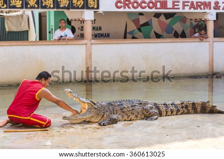 THAILAND, SAMUT PRAKAN - December 27,2015: An unidentified zoo keeper puts a hand in a mouth of the crocodile as part of \