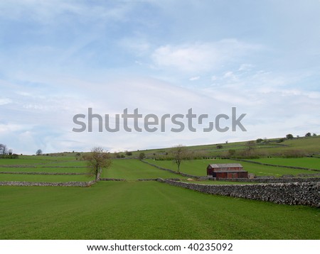 Grazing land with tree, wall and barn