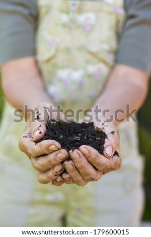 Closeup image of old woman hands holding compost. Senior female hands holding a handful of peat free compost