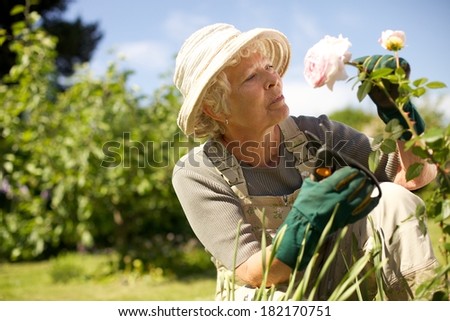 Senior woman wearing sun hat checking flowers in garden outdoors. Copy space.