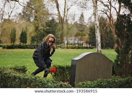 Young woman placing flowers on the grave of a deceased family member at cemetery. Young lady at the cemetery paying respects with fresh roses.