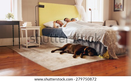 Indoor shot of dog lying on floor in bedroom. Young couple sleeping comfortably on bed.