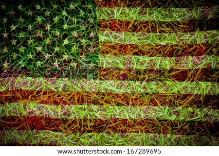 american flag paint on green grass lawn