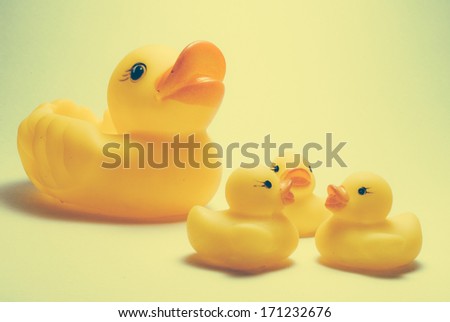 image of duck and ducklings on an dull vintage background