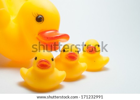 image of duck and ducklings on  dull dim background
