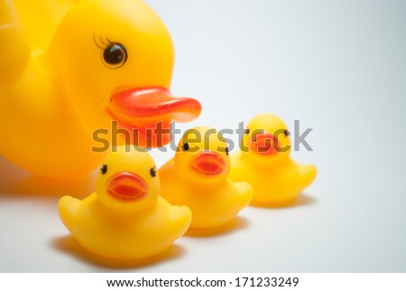 image of duck and ducklings on a dull gray background