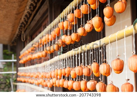 Making dry fruits at a farmer\'s house in Japan