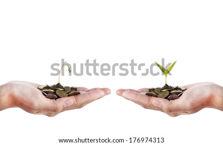 Smart Investment- Hand with dead seed and hand with growing seed over white background