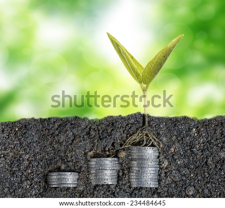 Growing seed with stacked coin-investment plan concept