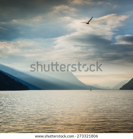 Evening on the lake, contrasting clouds in the sky, hovering bird. Play of light and shadow in the mountains