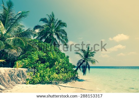 Panorama of tropical island Beach with palm trees. Vintage filter, soft light
