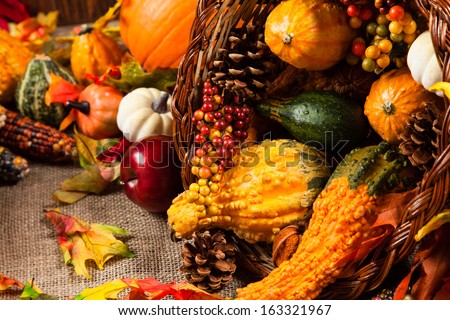 Season Harvest Decorations 3