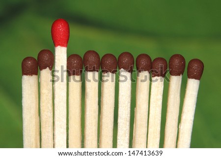 Matches lined up on green background
