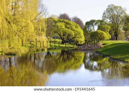 Trees around pond reflecting in water.