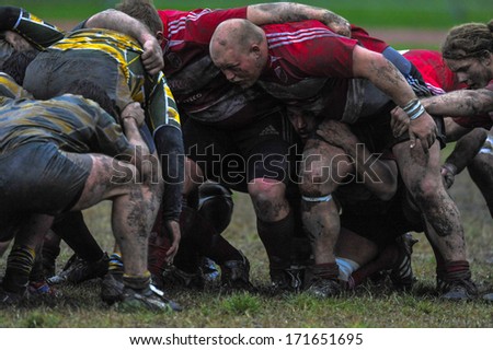 MILAN, ITALY - OCTOBER 28: Amateur rugby league in Milan, October 28,2010. Players pushing in a muddy scrum during the match between A.S.R. Rugby Milano vs Biella Rugby Club.