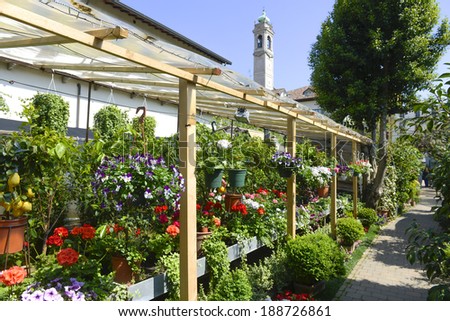 MILAN, ITALY-APRIL 09, 2014: hanging basket of flowers and variety of flowers plants on display in the garden shop, Vivaio Riva, in Milan.