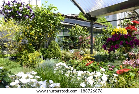MILAN, ITALY-APRIL 09, 2014: hanging basket of flowers and variety of flowers plants on display in the garden shop, Vivaio Riva, in Milan.