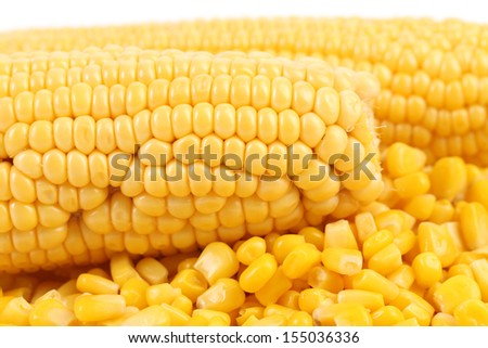 Two corncobs and handful canned corns.