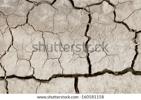 Dry cracked earth. Close up. Whole background.