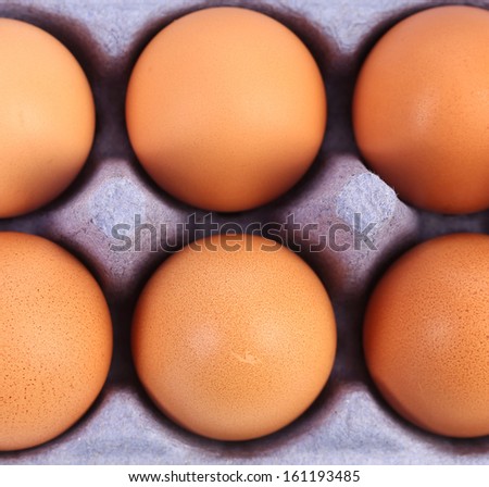 Close up of brown eggs in egg box. Whole background.