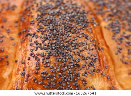 Close up of appetizing croissants with poppy. Whole background.