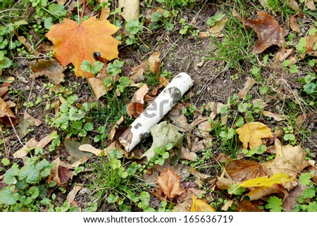 Autumnal colored leaves and a log. Whole background