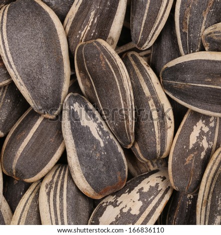 Background of sunflower seeds. Whole background. Black seeds.