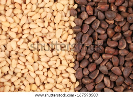 Two sides black and white of pine nuts. Whole background.