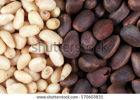 Bunch of pine nuts black and white. Close up. Whole background.