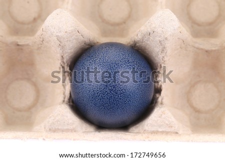 Cardboard egg box with one dark blue easter egg isolated on a white background