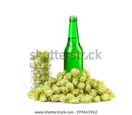 Bottle of beer with beer glass and hop on a white background
