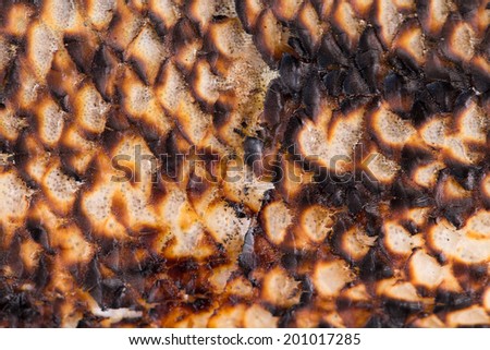 Texture of fish grill skin close up. Whole background