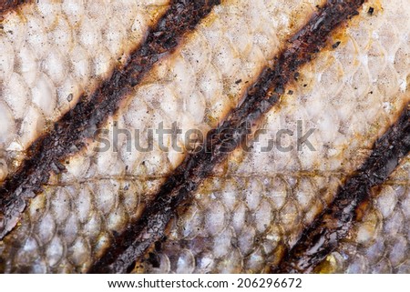 Texture of grilled fish scales close up. Whole background.