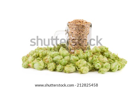 Beer goblet with hop. Isolated on a white background.