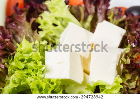Fresh feta cheese on lettuce leaves as a part of vegetable platter. Macro. Photo can be used as a whole background.
