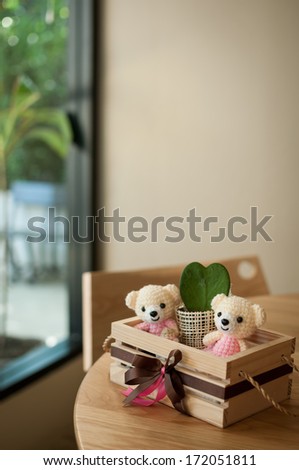 Bear Doll In A Box For Home Interiors