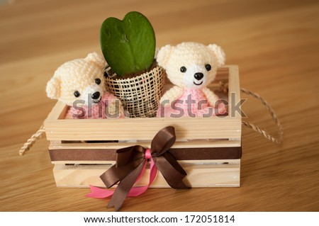 Bear doll in a box for home interiors