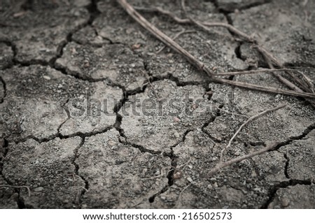 Closeup of dry soil texture background