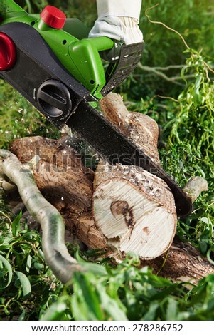 man (lumberjack) cutting trees using an electrical chainsaw in forest