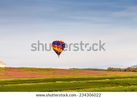 Hot air balloon over the pink flower field with mountain and blue sky background