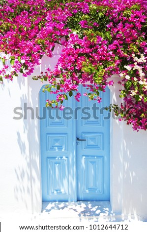 Old blue door and pink flowers, traditional Greek architecture, Santorini island, Greece. Beautiful details of the island of Santorini, white houses, blue doors and shutters, the Aegean Sea.